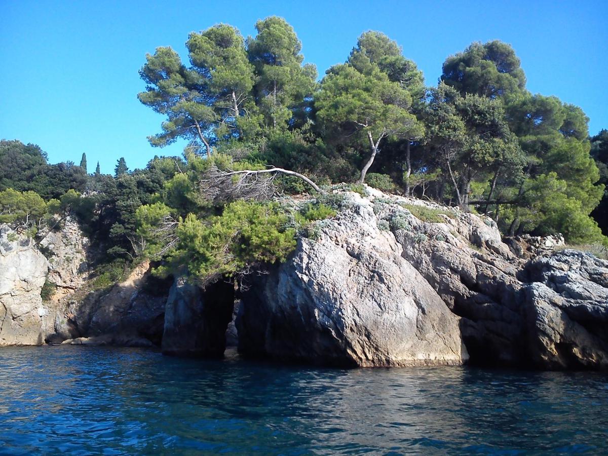 Mansard Apart Alba - Sea 5 Terre-Trekking-Excursions-Relax San Terenzo Extérieur photo